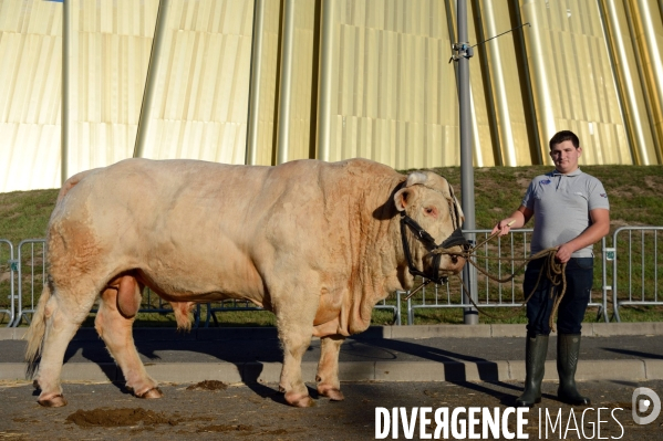 Fête du Charolais