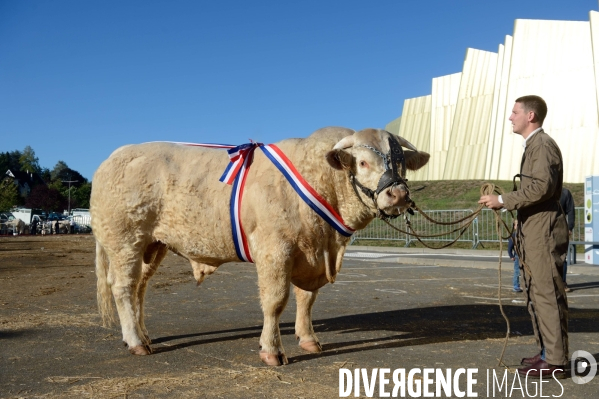 Fête du Charolais