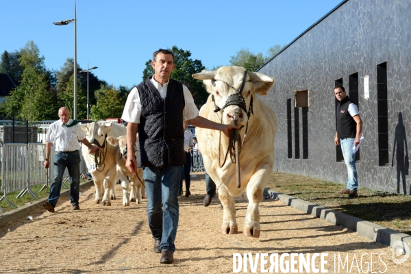 Fête du Charolais