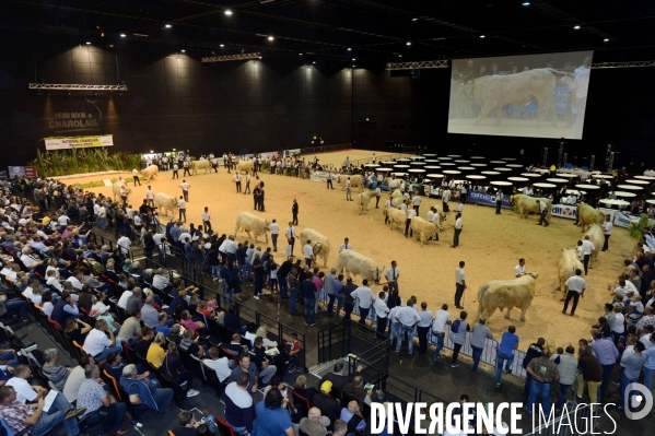 Fête du Charolais