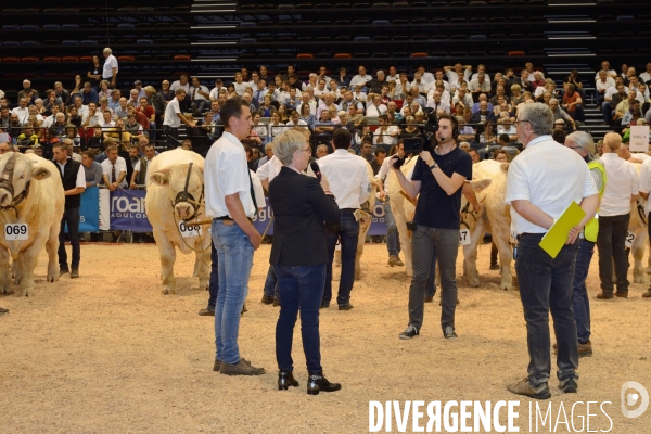 Fête du Charolais