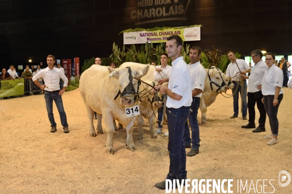 Fête du Charolais