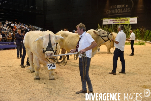 Fête du Charolais