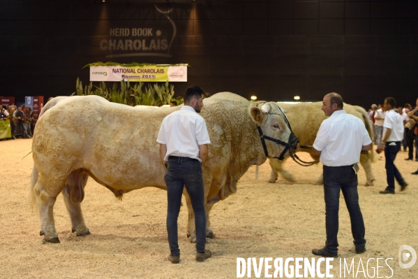 Fête du Charolais