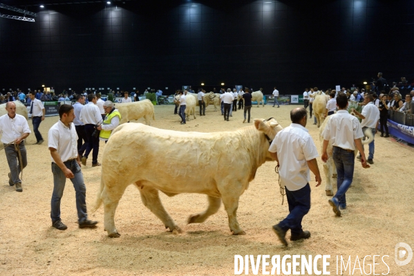 Fête du Charolais