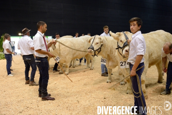 Fête du Charolais