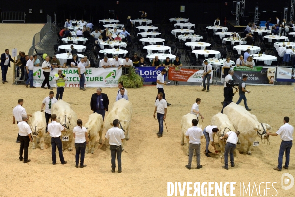 Fête du Charolais