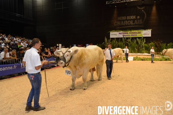 Fête du Charolais