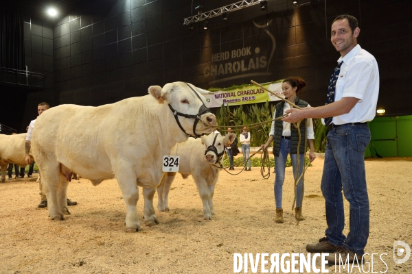 Fête du Charolais