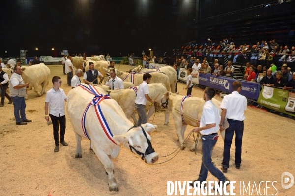 Fête du Charolais