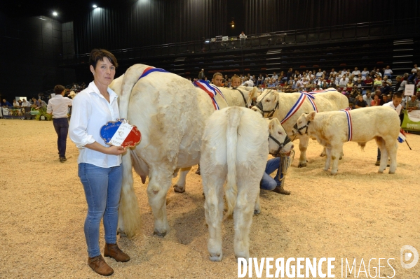 Fête du Charolais