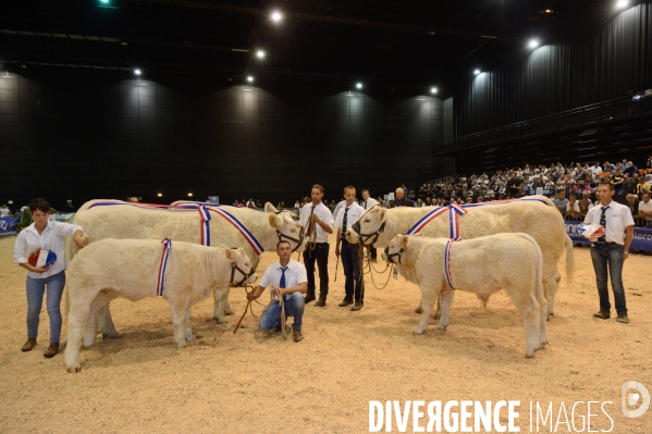 Fête du Charolais