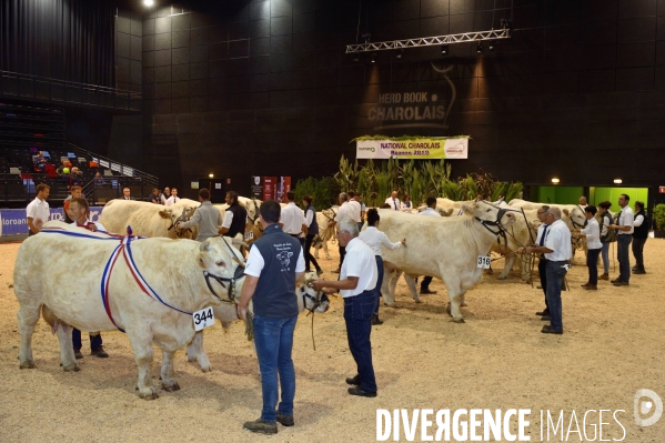 Fête du Charolais