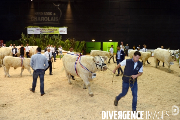 Fête du Charolais