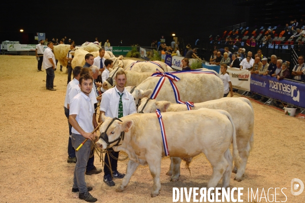 Fête du Charolais