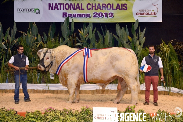 Fête du Charolais