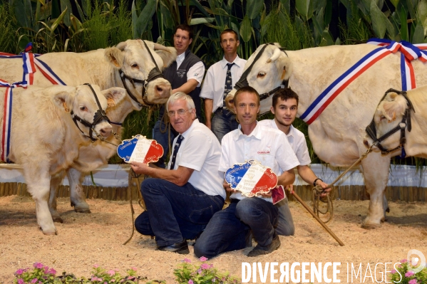 Fête du Charolais