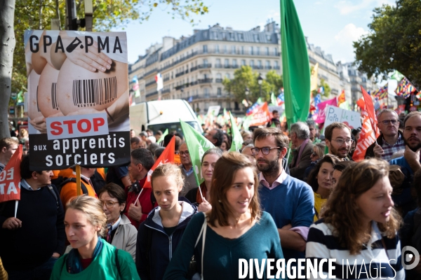 Manifestation contre la PMA