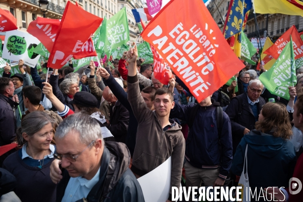 Manifestation contre la PMA