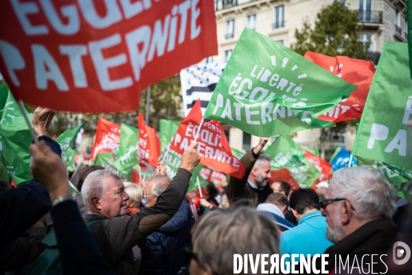 Manifestation contre la PMA