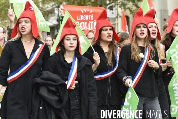 Manif pour tous LMPT 2019 à Paris. Event for all.