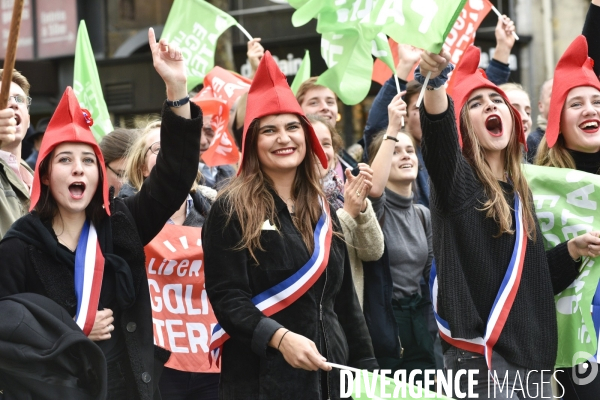 Manif pour tous LMPT 2019 à Paris. Event for all.