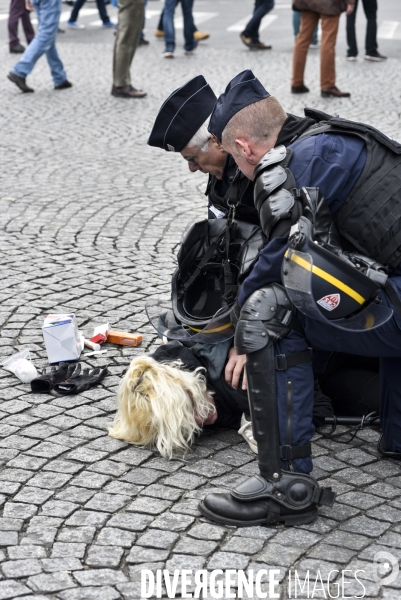 Manif pour tous LMPT 2019 à Paris. Event for all.