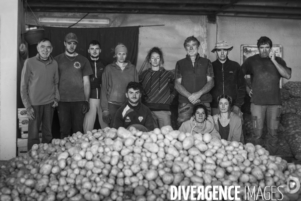 Dernier jour de récolte des patates