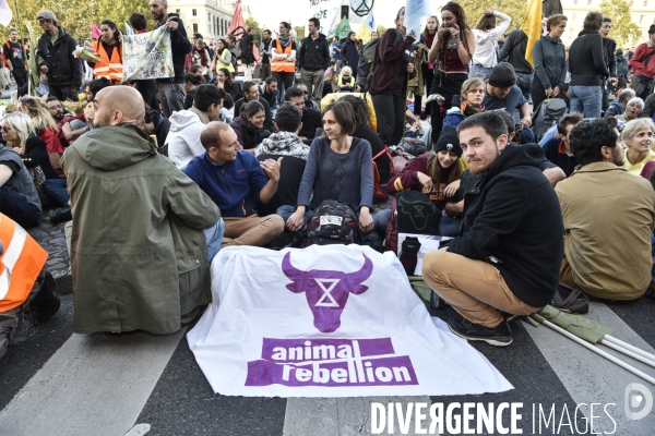 Action blocage du centre de Paris par des militants écologistes d Extinction Rebellion, Place du Chatelet, Pont au Change. Action blocking the center of Paris by ecologist activists of Extinction Rebellion, Place du Chatelet, Pont au Change.