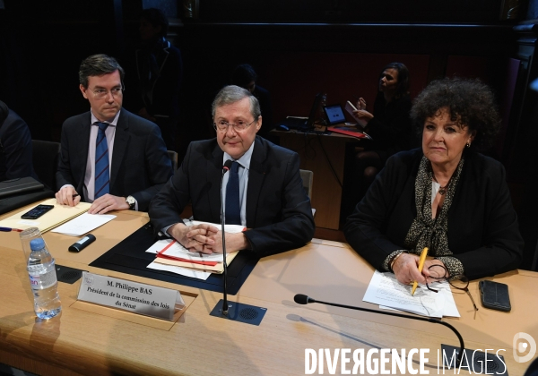 Audition de Christophe Castaner au sénat