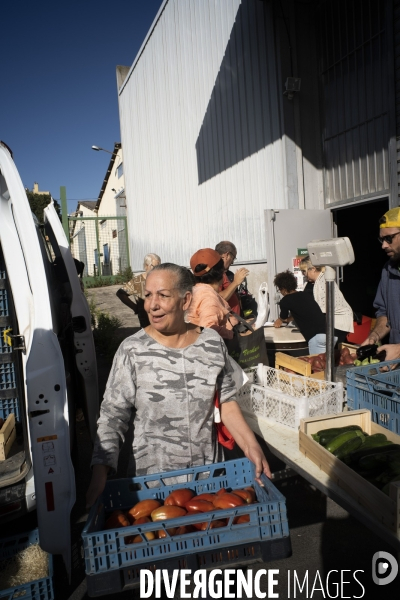 Paniers Paysans et secours populaire