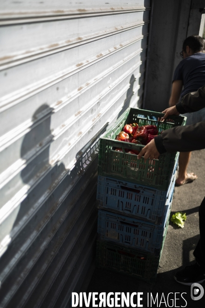 Paniers Paysans et secours populaire