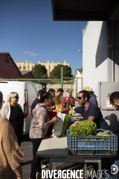 Paniers Paysans et secours populaire