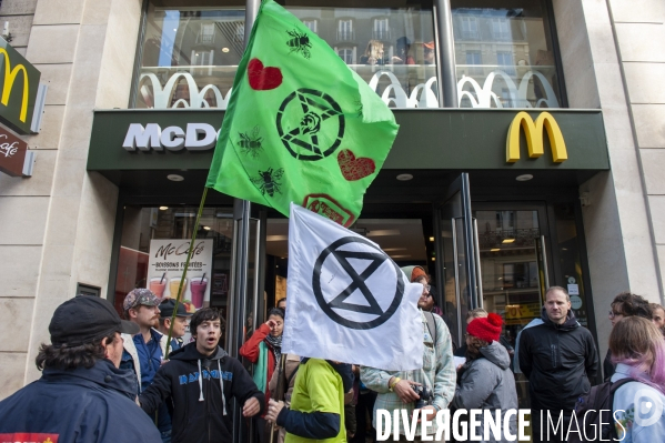 Extinction Rebellion, la ZAD de Chatelet