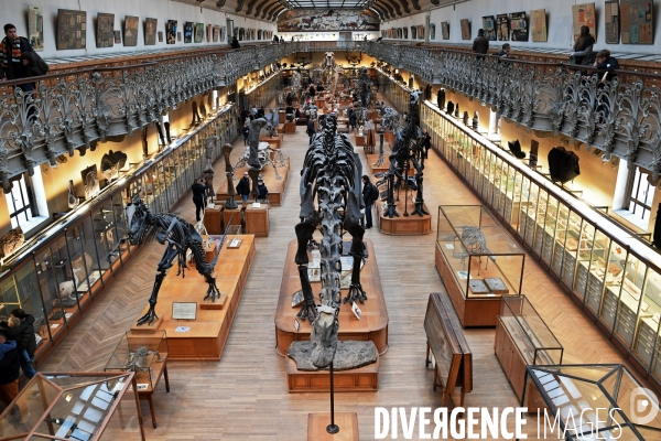 Le Museum d Histoire Naturelle de Paris