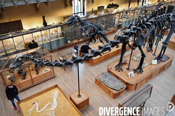 Le Museum d Histoire Naturelle de Paris