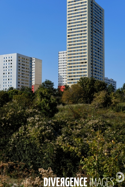 Parc Jean Moulin - Les Guilands de Bagnolet.