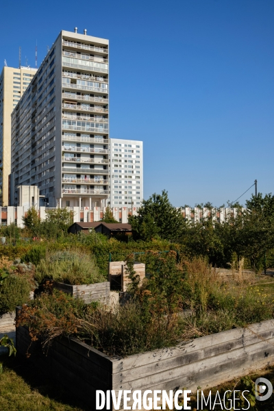 Parc Jean Moulin - Les Guilands de Bagnolet.