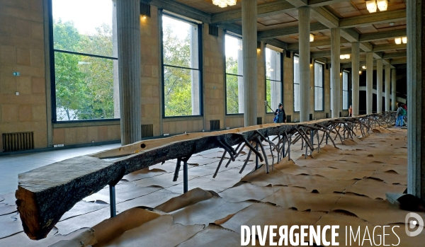 La FIAC 2019, hors les mûrs