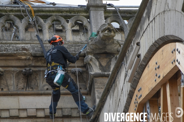 Notre-Dame de Paris six mois après