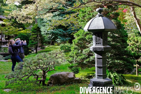 Réouverture du jardin Albert Kahn