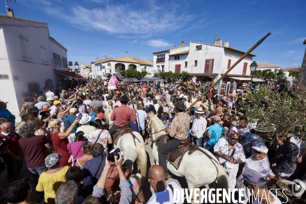 Soleil Noir Camargue le peuple du taureau