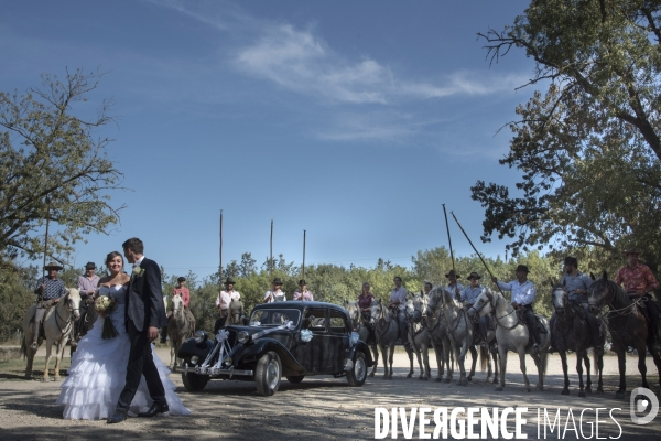 Soleil Noir Camargue le peuple du taureau