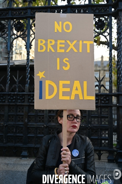 Marche contre le Brexit à Londres