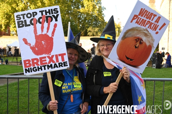 Marche contre le Brexit à Londres