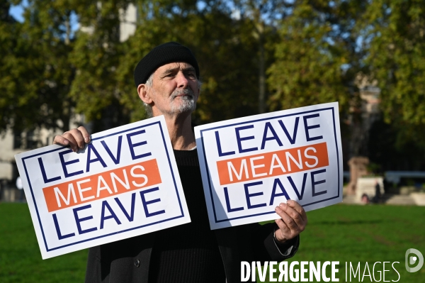 Marche contre le Brexit à Londres