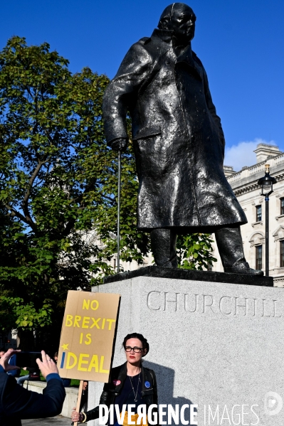 Marche contre le Brexit à Londres