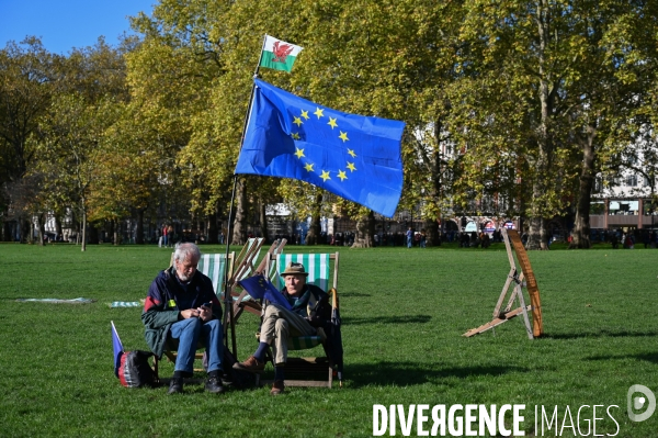 Marche contre le Brexit à Londres