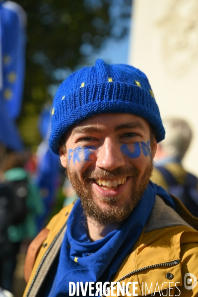 Marche contre le Brexit à Londres