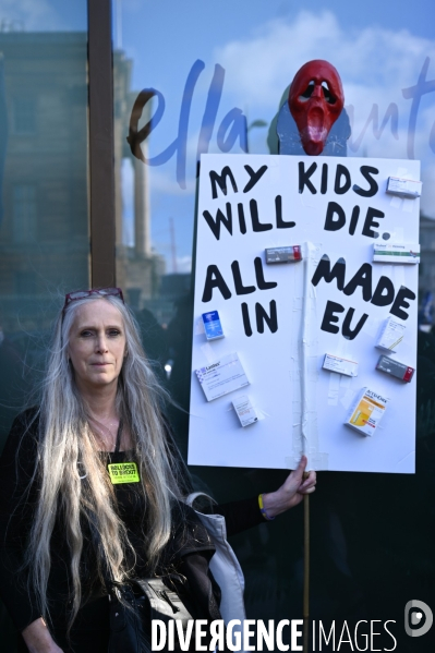 Marche contre le Brexit à Londres